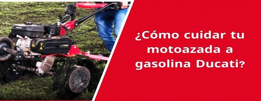noticia_1 noticia_1