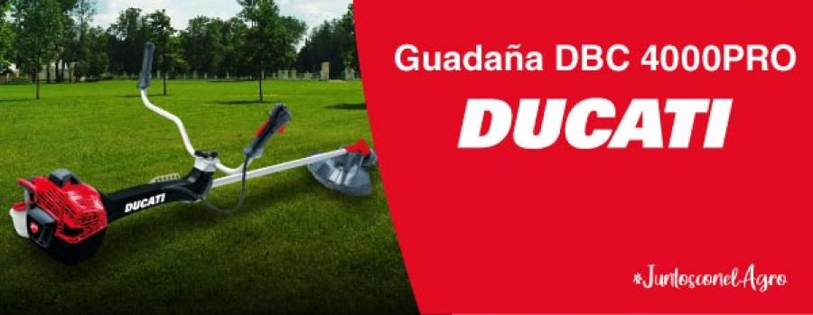 noticia_6