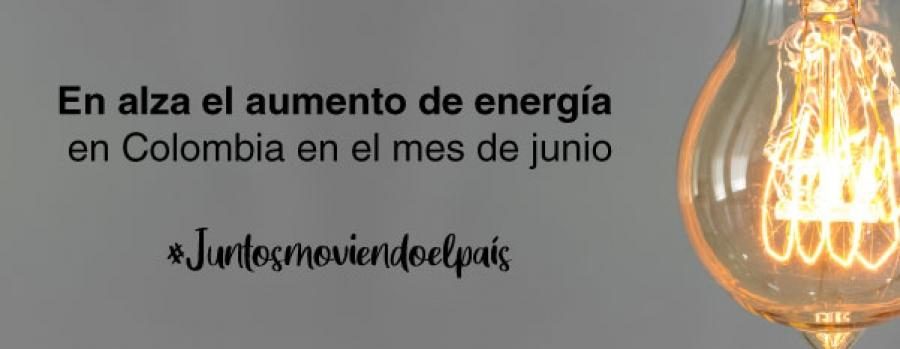 noticia_8